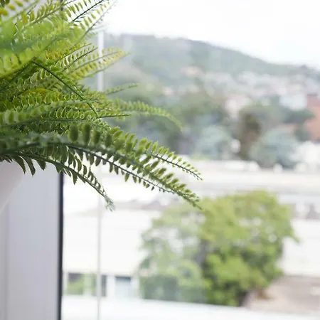 Cocor & Design Neapel